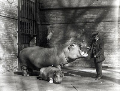 Joan and Jimmy with Keeper Bowman, March 1927 by Frederick William Bond